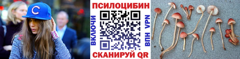 Галлюциногенные грибы Cubensis  Купить где  Петрозаводск 